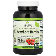 <img alt="Herbal Secrets, Hawthorn Berries, 565 mg, 120 Capsules" title="Herbal Secrets, Hawthorn Berries, 565 mg, 120 Capsules,810180022255"