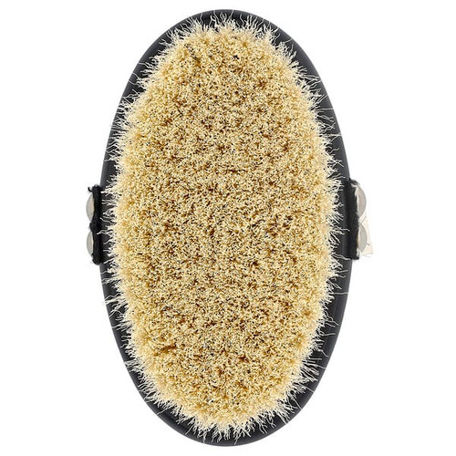 <img alt="Kitsch, Exfoliating Body Dry Brush, 1 Brush" title="Kitsch, Exfoliating Body Dry Brush, 1 Brush,819677028312"