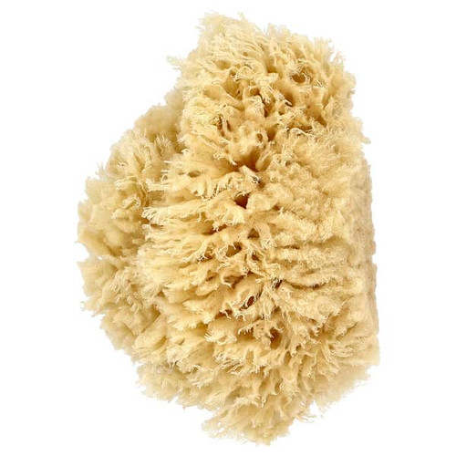<img alt="Baby Buddy, Premium Quality Wool Sea Sponge, 1 Sponge" title="Baby Buddy, Premium Quality Wool Sea Sponge, 1 Sponge,047414014018"