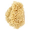 <img alt="Baby Buddy, Premium Quality Wool Sea Sponge, 1 Sponge" title="Baby Buddy, Premium Quality Wool Sea Sponge, 1 Sponge,047414014018" <img alt="Baby Buddy, Premium Quality Wool Sea Sponge, 1 Sponge" title="Baby Buddy, Premium Quality Wool Sea Sponge, 1 Sponge,047414014018"