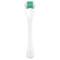 <img alt="Beauty By Earth, Microneedle Derma Roller, 0.25 MM Stainless Steel Needles, 1 Roller" title="Beauty By Earth, Microneedle Derma Roller, 0.25 MM Stainless Steel Needles, 1 Roller,850003968513" <img alt="Beauty By Earth, Microneedle Derma Roller, 0.25 MM Stainless Steel Needles, 1 Roller" title="Beauty By Earth, Microneedle Derma Roller, 0.25 MM Stainless Steel Needles, 1 Roller,850003968513"