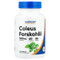 <img alt="Nutricost, Coleus Forskohlii, 60 Capsules (250 mg per Capsule)" title="Nutricost, Coleus Forskohlii, 60 Capsules (250 mg per Capsule),810139573524" <img alt="Nutricost, Coleus Forskohlii, 60 Capsules (250 mg per Capsule)" title="Nutricost, Coleus Forskohlii, 60 Capsules (250 mg per Capsule),810139573524"