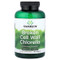 <img alt="Swanson Vitamins, Broken Cell Wall Chlorella, 360 Tablets" title="Swanson Vitamins, Broken Cell Wall Chlorella, 360 Tablets,087614060064"