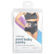 <img alt="UpSpring, Post Baby Panty, High Waist, 1X-2X, Black, 1 Count" title="UpSpring, Post Baby Panty, High Waist, 1X-2X, Black, 1 Count,896785002427"