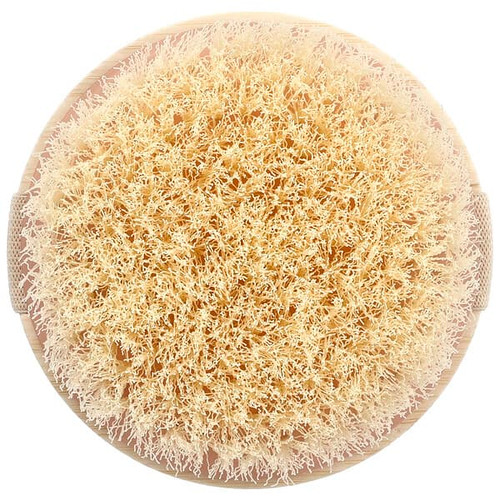 <img alt="EcoTools, Dry Body Brush, 1 Brush" title="EcoTools, Dry Body Brush, 1 Brush,079625074253"