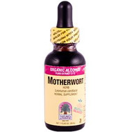 Natures Answer, Motherwort, Low Alcohol, 2000 mg, 1 fl oz (30 ml)