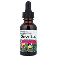 <img alt="NaturesPlus, Herbal Actives, Olive Leaf, Alcohol Free, 1 fl oz (30 ml)" title="NaturesPlus, Herbal Actives, Olive Leaf, Alcohol Free, 1 fl oz (30 ml),097467078499"