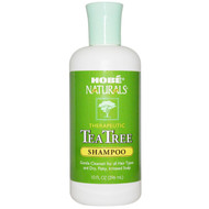Hobe Labs, Shampoo, Tea Tree, 10 fl oz (296 ml)