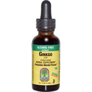 Natures Answer, Ginkgo, Alcohol-Free, 500 mg, 1 fl oz (30 ml)