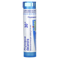 <img alt="Boiron, Phytolacca Decandra, 30C, Sore Throat Relief, Approx 80 Pellets" title="Boiron, Phytolacca Decandra, 30C, Sore Throat Relief, Approx 80 Pellets,306960573135"