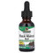 <img alt="Natures Answer, Black Walnut Hull, Fluid Extract, Alcohol-Free, 2,000 mg, 1 fl oz (30 mL)" title="Natures Answer, Black Walnut Hull, Fluid Extract, Alcohol-Free, 2,000 mg, 1 fl oz (30 mL),083000005800"