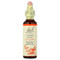 <img alt="Bach, Original Flower Remedies, Cherry Plum, 0.7 fl oz (20 ml)" title="Bach, Original Flower Remedies, Cherry Plum, 0.7 fl oz (20 ml),741273204619"