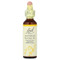 <img alt="Bach, Original Flower Remedies, Hornbeam, 0.7 fl oz (20 ml)" title="Bach, Original Flower Remedies, Hornbeam, 0.7 fl oz (20 ml),741273205715"