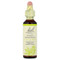 <img alt="Bach, Original Flower Remedies, White Chestnut, 0.7 fl oz (20 ml)" title="Bach, Original Flower Remedies, White Chestnut, 0.7 fl oz (20 ml),741273207511" <img alt="Bach, Original Flower Remedies, White Chestnut, 0.7 fl oz (20 ml)" title="Bach, Original Flower Remedies, White Chestnut, 0.7 fl oz (20 ml),741273207511"