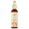 <img alt="Bach, Original Flower Remedies, Aspen, 0.7 fl oz (20 ml)" title="Bach, Original Flower Remedies, Aspen, 0.7 fl oz (20 ml),741273204213" <img alt="Bach, Original Flower Remedies, Aspen, 0.7 fl oz (20 ml)" title="Bach, Original Flower Remedies, Aspen, 0.7 fl oz (20 ml),741273204213"