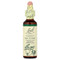 <img alt="Bach, Original Flower Remedies, Walnut, 0.7 fl oz (20 ml)" title="Bach, Original Flower Remedies, Walnut, 0.7 fl oz (20 ml),741273207313"