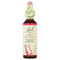 <img alt="Bach, Original Flower Remedies, Larch, 0.7 fl oz (20 ml)" title="Bach, Original Flower Remedies, Larch, 0.7 fl oz (20 ml),741273205913"