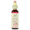 <img alt="Bach, Original Flower Remedies, Star of Bethlehem, 0.7 fl oz (20 ml)" title="Bach, Original Flower Remedies, Star of Bethlehem, 0.7 fl oz (20 ml),741273206910" <img alt="Bach, Original Flower Remedies, Star of Bethlehem, 0.7 fl oz (20 ml)" title="Bach, Original Flower Remedies, Star of Bethlehem, 0.7 fl oz (20 ml),741273206910"