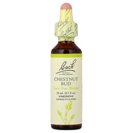 <img alt="Bach, Original Flower Remedies, Chestnut Bud, 0.7 fl oz (20 ml)" title="Bach, Original Flower Remedies, Chestnut Bud, 0.7 fl oz (20 ml),741273204718"