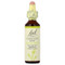 <img alt="Bach, Original Flower Remedies, Chestnut Bud, 0.7 fl oz (20 ml)" title="Bach, Original Flower Remedies, Chestnut Bud, 0.7 fl oz (20 ml),741273204718" <img alt="Bach, Original Flower Remedies, Chestnut Bud, 0.7 fl oz (20 ml)" title="Bach, Original Flower Remedies, Chestnut Bud, 0.7 fl oz (20 ml),741273204718"