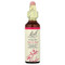 <img alt="Bach, Original Flower Remedies, Willow, 0.7 fl oz (20 ml)" title="Bach, Original Flower Remedies, Willow, 0.7 fl oz (20 ml),741273207818"