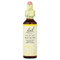 <img alt="Bach, Original Flower Remedies, Wild Oat, 0.7 fl oz (20 ml)" title="Bach, Original Flower Remedies, Wild Oat, 0.7 fl oz (20 ml),741273207610"
