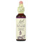<img alt="Bach, Original Flower Remedies, Water Violet, 0.7 fl oz (20 ml)" title="Bach, Original Flower Remedies, Water Violet, 0.7 fl oz (20 ml),741273207412"