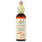 <img alt="Bach, Original Flower Remedies, Rock Rose, 0.7 fl oz (20 ml)" title="Bach, Original Flower Remedies, Rock Rose, 0.7 fl oz (20 ml),741273206613"