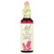 <img alt="Bach, Original Flower Remedies, Pine, 0.7 fl oz (20 ml)" title="Bach, Original Flower Remedies, Pine, 0.7 fl oz (20 ml),741273206415"