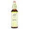 <img alt="Bach, Olive, 0.7 fl oz (20 ml)" title="Bach, Olive, 0.7 fl oz (20 ml),741273206316"