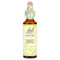 <img alt="Bach, Original Flower Remedies, Mustard, 0.7 fl oz (20 ml)" title="Bach, Original Flower Remedies, Mustard, 0.7 fl oz (20 ml),741273206118"