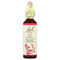 <img alt="Bach, Original Flower Remedies, Elm, 0.7 fl oz (20 ml)" title="Bach, Original Flower Remedies, Elm, 0.7 fl oz (20 ml),741273205111" <img alt="Bach, Original Flower Remedies, Elm, 0.7 fl oz (20 ml)" title="Bach, Original Flower Remedies, Elm, 0.7 fl oz (20 ml),741273205111"