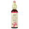 <img alt="Bach, Original Flower Remedies, Crab Apple, 0.7 fl oz (20 ml)" title="Bach, Original Flower Remedies, Crab Apple, 0.7 fl oz (20 ml),741273205012" <img alt="Bach, Original Flower Remedies, Crab Apple, 0.7 fl oz (20 ml)" title="Bach, Original Flower Remedies, Crab Apple, 0.7 fl oz (20 ml),741273205012"