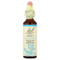 <img alt="Bach, Original Flower Remedies, Beech, 0.7 fl oz (20 ml)" title="Bach, Original Flower Remedies, Beech, 0.7 fl oz (20 ml),741273204312" <img alt="Bach, Original Flower Remedies, Beech, 0.7 fl oz (20 ml)" title="Bach, Original Flower Remedies, Beech, 0.7 fl oz (20 ml),741273204312"