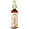 <img alt="Bach, Original Flower Remedies, Mimulus, 0.7 fl oz (20 ml)" title="Bach, Original Flower Remedies, Mimulus, 0.7 fl oz (20 ml),741273206019"