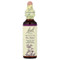 <img alt="Bach, Original Flower Remedies, Impatiens, 0.7 fl oz (20 ml)" title="Bach, Original Flower Remedies, Impatiens, 0.7 fl oz (20 ml),741273205814"