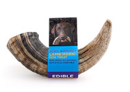 Icelandic Plus Large Lamb Horn Dog Treat -- 4 oz