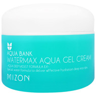 Mizon, Aqua Bank, Watermax Aqua Gel Cream, 4.22 oz (125 ml)