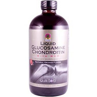 Natures Answer Liquid Glucosamine and Chondroitin with MSM Natural Orange -- 16 fl oz