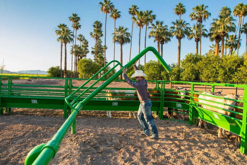 CHUTE HELP ADJUSTABLE ROPING BOX SET DENNARDS