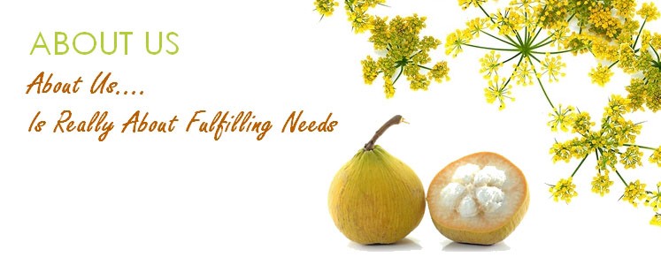 Just Nutritive Fulfills Needs