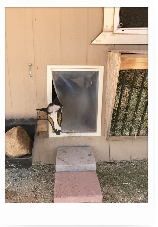 caption-contest.jpg caption-contest.jpg