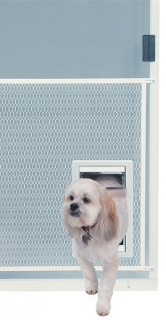 Ideal Pet Screen Guard Pet Door Free Shipping Continental U S