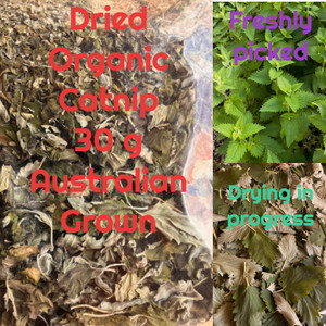 30g Australian Organically Home Grown Dried Catnip Catmint Nepeta cataria Cat Treat