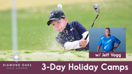 3 Day Holiday Camps (Diamond Oaks)