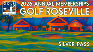 Silver Annual Pass 2026