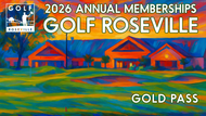 Gold Annual Pass 2026