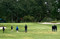 After School Clinics Woodcreek Golf Club Roseville Ca