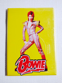 David Bowie - Ziggy Stardust - Glam Rock Magnet
