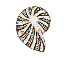 Ammonite White Rust Metal Shank Buttons - 20mm - 3/4 inch